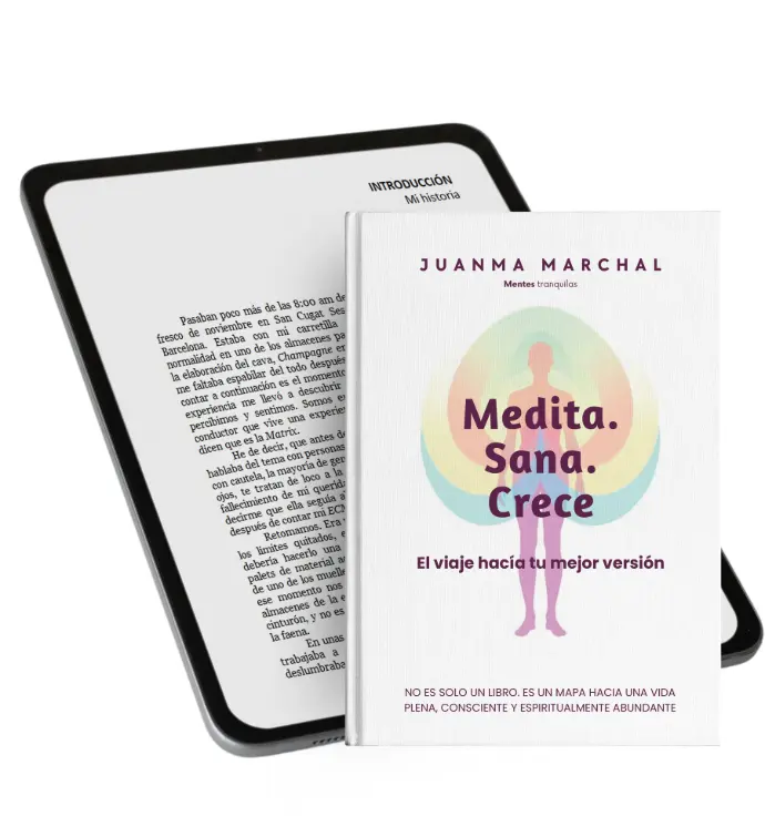 Ebook